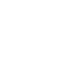 Honeybee  Icon