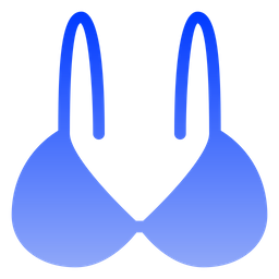 Bra  Icon