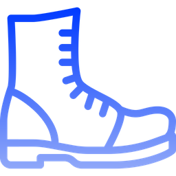 Boot  Icon