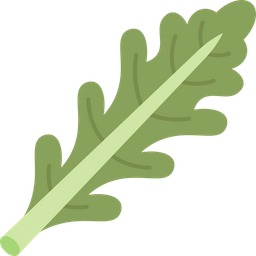 Arugula  Icon