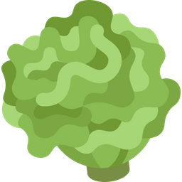 Coral  Icon