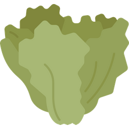 Escarole  Icon