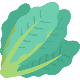 Kale  Icon