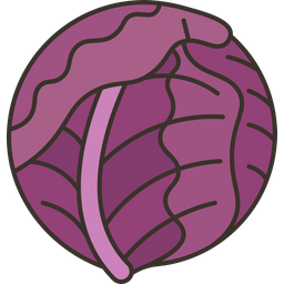 Cabbage  Icon