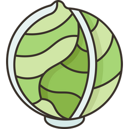 Cabbage  Icon