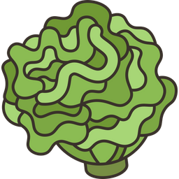 Coral  Icon