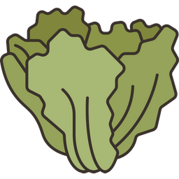 Escarole  Icon