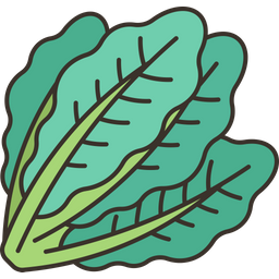 Kale  Icon