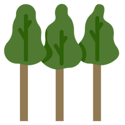 Eucalyptus trees  Icon