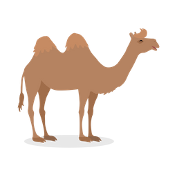 Bactrian Camel  Icon