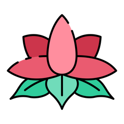 Lotus  Icon