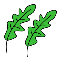 Arugula  Icon