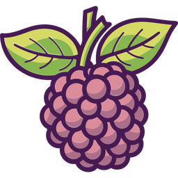 Berries  Icon