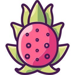 Dragon Fruit  Icon