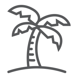 Palm tree  Icon