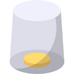 Coin  Icon