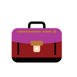 Bag  Icon