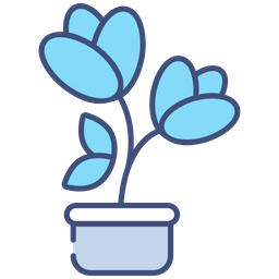 Flower  Icon