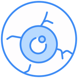 Eye ball  Icon