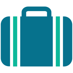 Business bag  Icon