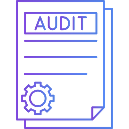 Audit  Icon