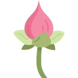 Lotus  Icon