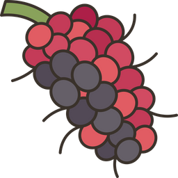 Mulberry  Icon