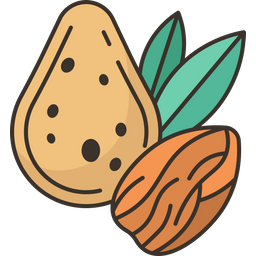 Almond  Icon