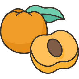 Apricot  Icon