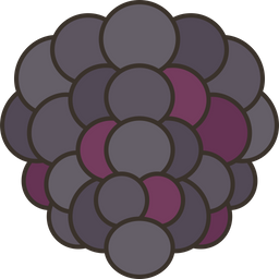 Blackberry  Icon