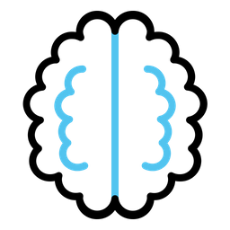 Brain  Icon