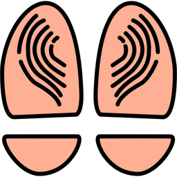 Anatomy  Icon