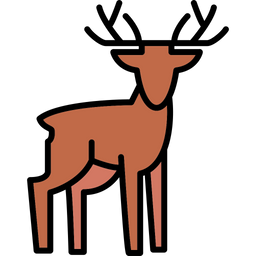 Animal  Icon