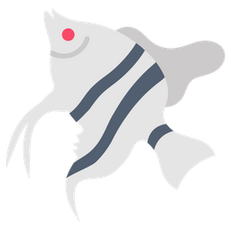 Angel fish  Icon