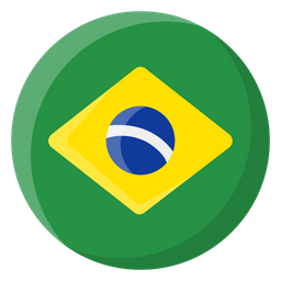 Brazil Brazilian Flag Icon