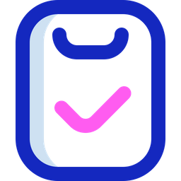 Audit  Icon