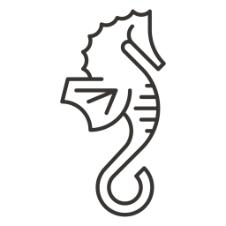 Hippocampus  Symbol