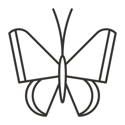 Schmetterling  Symbol