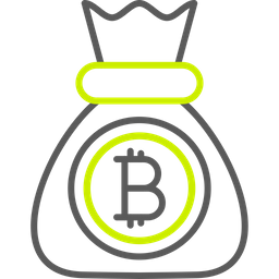 Bitcoin bag  Icon