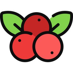 Berries  Icon