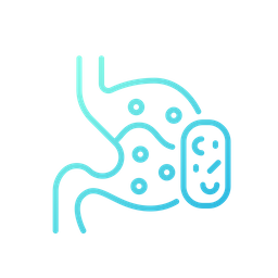 Digestive system with medicine  Icon