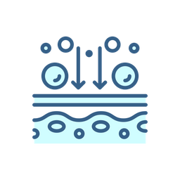 Metabolism process  Icon