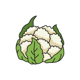 Cauliflower  Icon