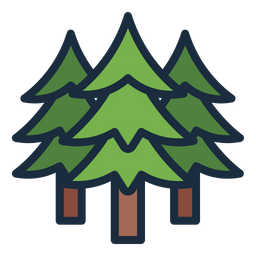 Pine Tree  Icon