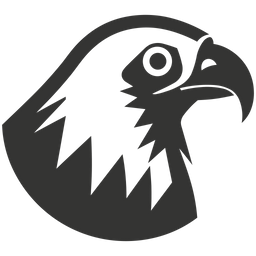 Andean condor bird  Icon