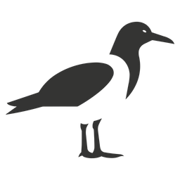 Albatross bird  Icon