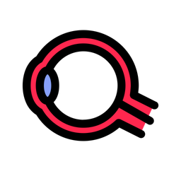 Eyeball  Icon