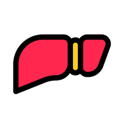 Liver  Icon