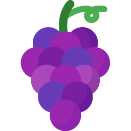 Grape  Icon