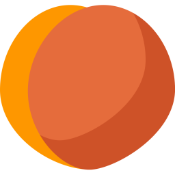 Peach  Icon